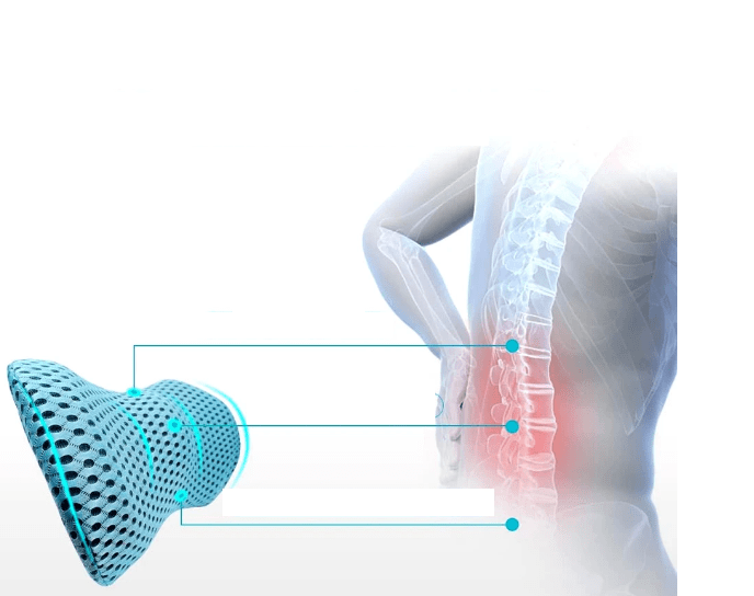 Coussin lombaire | ErgoConfort - Douce Peau